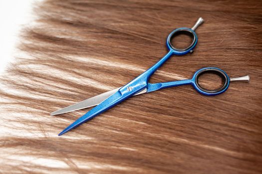 Scissors lie on the hair ribbon for extension at home. Hair extensions to thicken your own. Individual strands of hair close-up