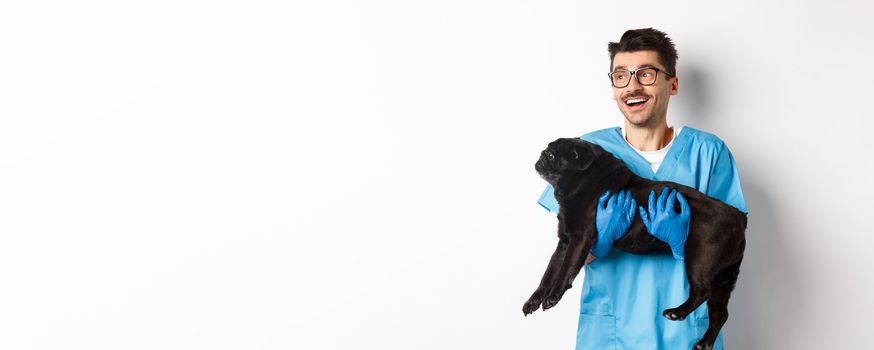 Vet clinic concept. Happy male doctor veterinarian holding cute black pug dog, smiling and looking left, standing over white background.