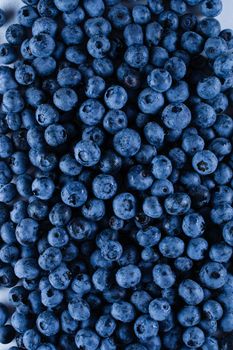 Blueberries with water drops. Blueberry summer seasonal berry. Many natural organic blueberries