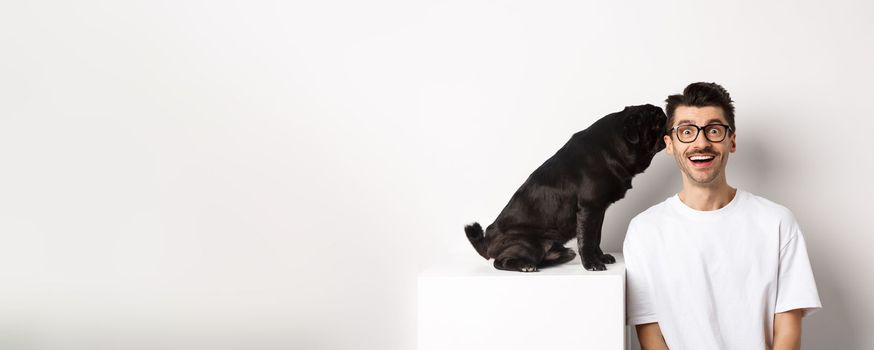 Image of cute black pug dog whispering at owner ear, man looking amazed and smiling, standing over white background.