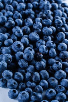 Blueberries with water drops. Blueberry summer seasonal berry. Many natural organic blueberries