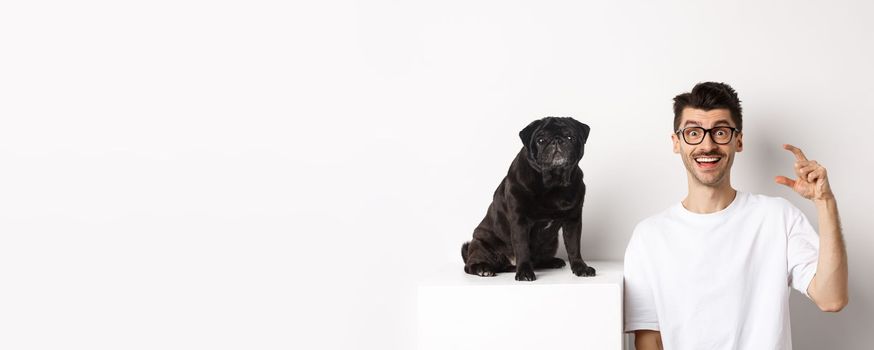 Happy dog owner sitting near cute black pug, smiling and showing small little size, white background.