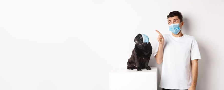 Covid-19, animals and quarantine concept. Young man and black dog wearing medical masks, pug and owner looking at upper left corner, white background.