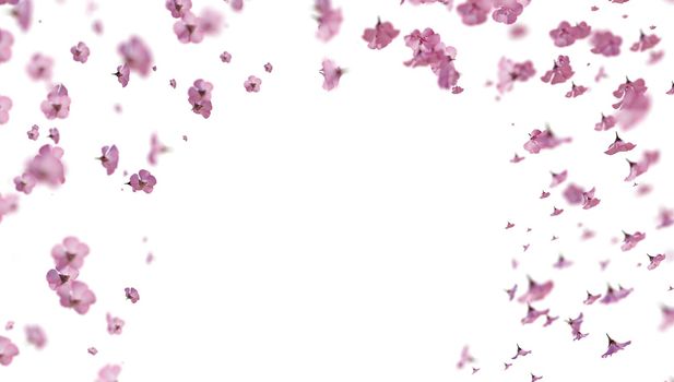 Pink sakura falling petals background. 3D romantic illustration