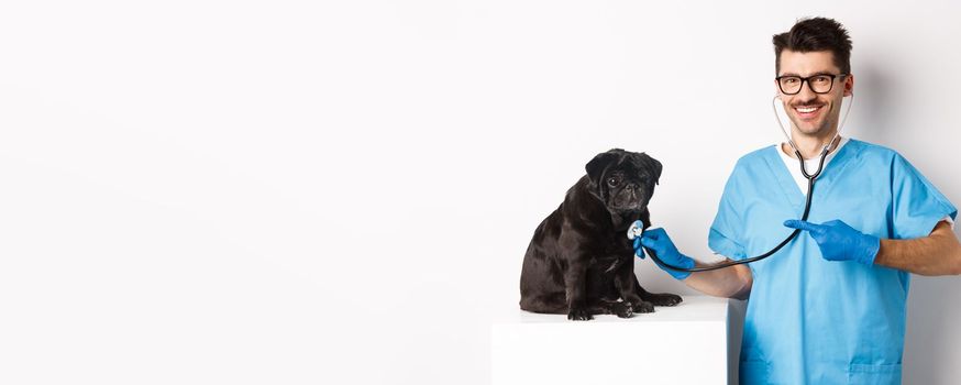 Handsome veterinarian at vet clinic examining cute black pug dog, pointing finger at pet during check-up with stethoscope, white background.