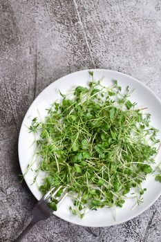 A plate with different varieties of germinated microgreen sprouts on a concrete table. View from above.