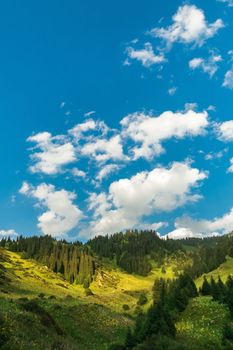 Summer Kimasar gorge with scenic blue sky. Popular weekend hiking route in Almaty mountains, vertical.