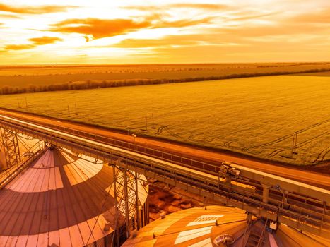 Grain elevator. Metal grain elevator in agricultural zone. Agriculture storage for harvest. Grain silos on green nature background. Exterior of agricultural factory