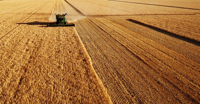 John Deere harvester works in the field. Combine Harvesting Wheat. Field field of cereals during harvesting. Modern equipment works. 07.07.22, Rostov region, Russia.