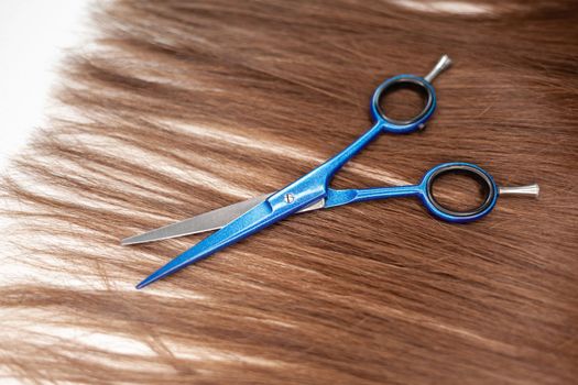 Scissors lie on the hair ribbon for extension at home. Hair extensions to thicken your own. Individual strands of hair close-up