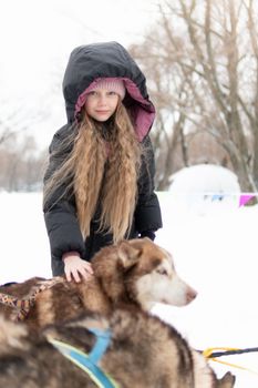 people puppy park husky snow nature young friendship winter pet portrait love beautiful