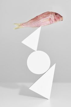 Air-dried red mullet on top of tower of two white triangles and circle on gray background. Still life with fish and geometric shapes