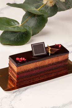 Cake slice with layers of delicate moist chocolate biscuit, airy chocolate mousse and raspberry confit topped with cocoa icing garnished with candied berries and edible gold on white with green leaves