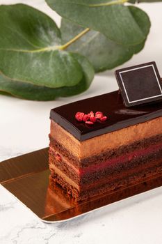 Slice of tempting chocolate cake with delicate airy mousse and raspberry jelly topped with ganache and candied berry crumbs served on golden cardboard on white background with green leaves