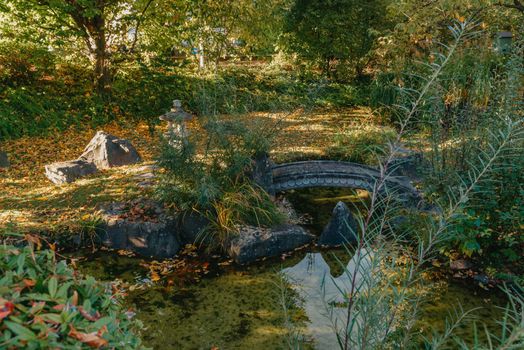 Beautiful Japanese Garden and red trees at autumn seson. A burst of fall color with pond reflections.