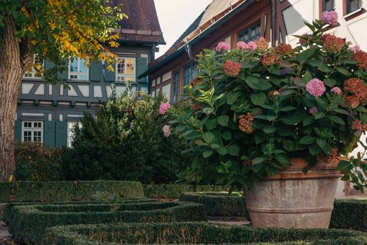 House with nice garden in fall. Flowers in the Park. Bietigheim-Bissingen. Germany, Europe. Autumn Park and house, nobody, bush and grenery