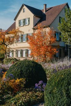 House with nice garden in fall. Flowers in the Park. Bietigheim-Bissingen. Germany, Europe. Autumn Park and house, nobody, bush and grenery