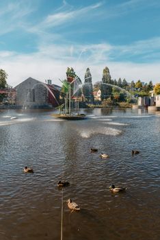 Ducks on the lake in the park. Park in the fall. Autumn trees. Wild ducks are reflected in the lake. Multi-colored bird feathers. A pond with wild ducks and drakes. A duck lake full of beautiful ducks swimming for them in city park.