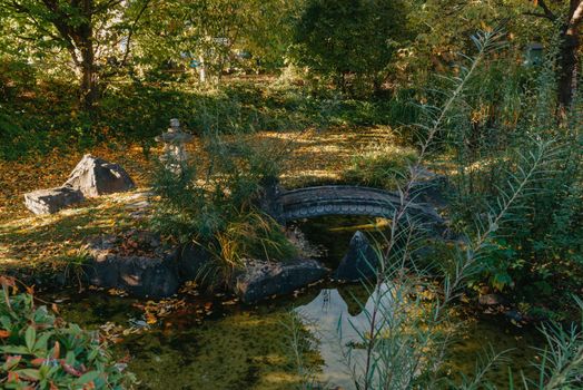 Beautiful Japanese Garden and red trees at autumn seson. A burst of fall color with pond reflections.