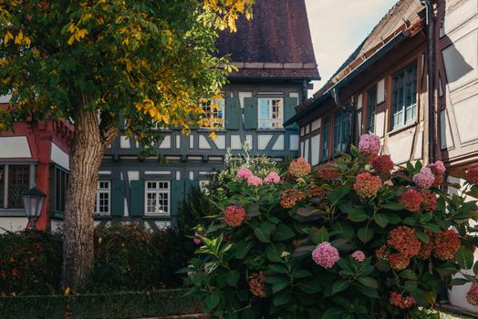 House with nice garden in fall. Flowers in the Park. Bietigheim-Bissingen. Germany, Europe. Autumn Park and house, nobody, bush and grenery