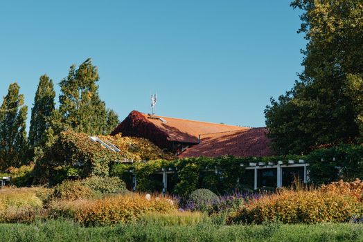 House with nice garden in fall. Flowers in the Park. Bietigheim-Bissingen. Germany, Europe. Autumn Park and house, nobody, bush and grenery