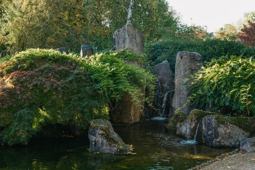 Scenic Japanese style gardens with a waterfall in the park, in autumn. Japanese water garden. Waterfall with maple trees in Japanese green Garden Park green summer zen lake pond water in London, UK