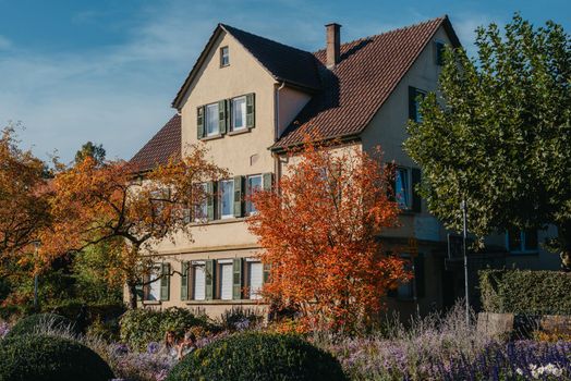 House with nice garden in fall. Flowers in the Park. Bietigheim-Bissingen. Germany, Europe. Autumn Park and house, nobody, bush and grenery