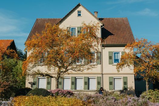 House with nice garden in fall. Flowers in the Park. Bietigheim-Bissingen. Germany, Europe. Autumn Park and house, nobody, bush and grenery