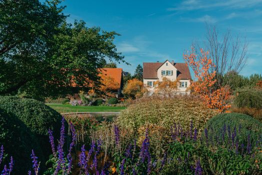 House with nice garden in fall. Flowers in the Park. Bietigheim-Bissingen. Germany, Europe. Autumn Park and house, nobody, bush and grenery