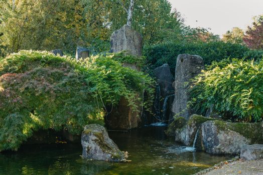 Beautiful calm scene in spring Japanese garden. Japan autumn image. Beautiful Japanese garden with a pond and red leaves. Pond in a Japanese garden.