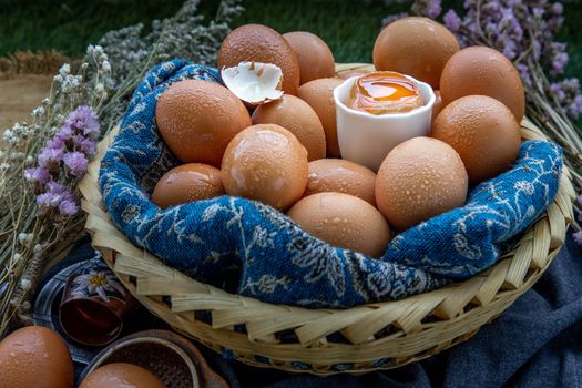 Hen / Fresh chicken eggs on basket. Nutrition concept, Selective focus.