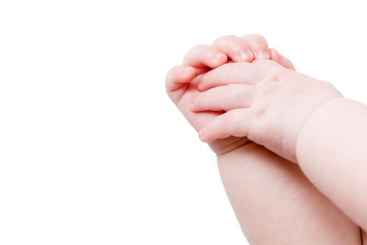 two infant baby hands together macro close-up view isolated on white background