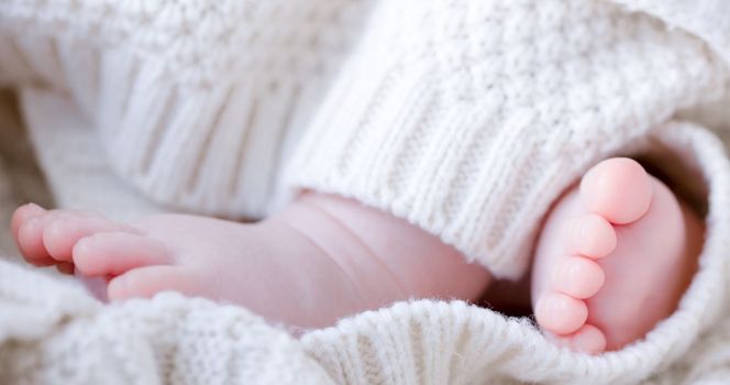 macro view of newborn baby feet wrapped in white wool blanket