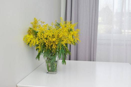 Mimosa in glass vase on white table near the window