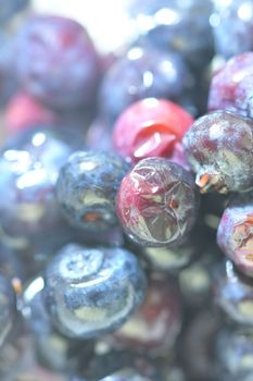 Blueberries, background of berries, top view. Defocused blueberry background. Texture of bilberries, flat design. Vertical macro image.