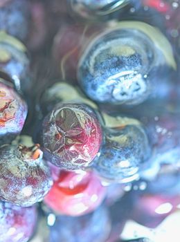 Blueberries, background of berries, top view. Defocused blueberry background. Texture of bilberries, flat design. Vertical macro image.