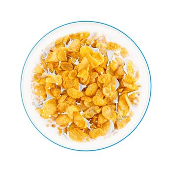 Bowl of sweet cornflakes with milk isolated on white background, top view. Corn flakes with milk splashes isolated on white