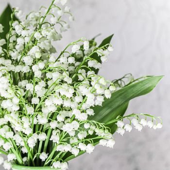 Bouquet of may lilies of the valley on a white background. High quality photo