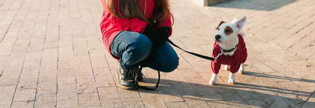 Happy child girl with dog. Portrait kid with pet Jack Russell Terrier outdoors - pet owner