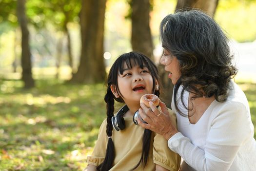 Smiling middle aged grandma and little preschooler child relaxing int he park. concept. Family, generation and people concept.