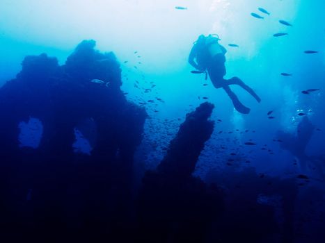 Some people dive peacefully on the old remains of a sunken ship. Hundreds of fish surround the mysterious wreck that rests at the bottom of a turbid blue sea