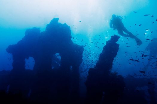 a person dives placidly on the old remains of a sunken ship. Hundreds of fish surround the mysterious wreck that rests at the bottom of a turbid blue sea