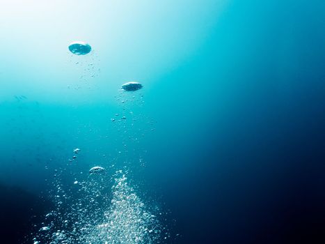 Water background with bubbles, some look like jellyfish. The deepest zone is almost black and changes to blue and turquoise near the surface where you can see the reflection of sunlight.