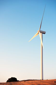 Vertical photo of a windmill producing clean energy in a wind farm at sunset. It is in a rural environment surrounded by crops and nature, the sky is clean and clear. Copy space