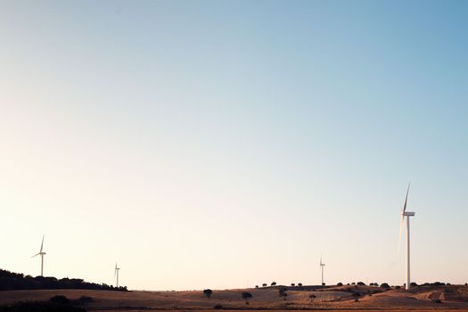 Four windmills produce clean energy in a wind farm at dusk. They are in a rural environment surrounded by crops and trees, the sky is clean and clear. Copy space