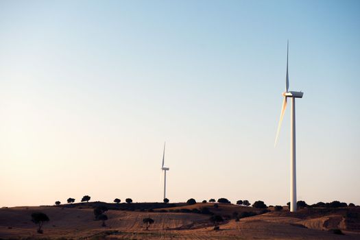 Two windmills produce clean energy in a wind farm at dusk. They are in a rural environment surrounded by crops and trees, the sky is clean and clear. Copy space