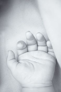 Two month old baby hand. Blue background