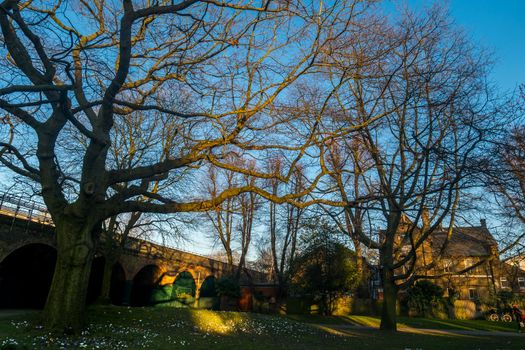 London, UK- Feb 24, 2019 : A view in Ravenscourt Park with autumn leaves and green grass. Stroll in the sun. Autumn background concept