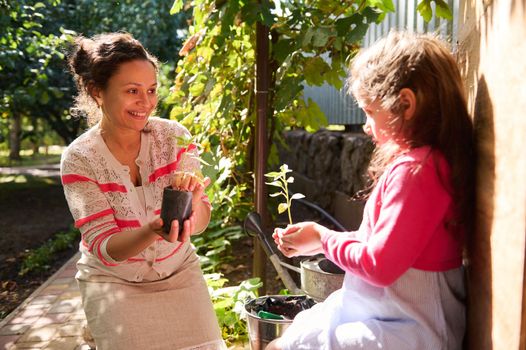 Happy loving mother and lovely daughter, inspired family of amateur gardeners farmers agronomes, holding germinated saplings, enjoying planting sprouted seedlings in the open ground at springtime