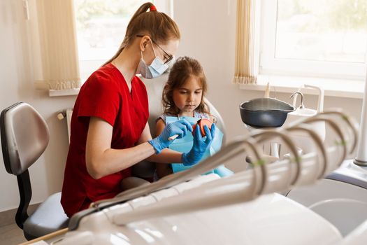 Dentist shows child how to properly use toothbrush for brush teeth. Jaw anatomical model teeth brushing. Pediatric dentist teaching oral hygiene lesson for kids in dentistry